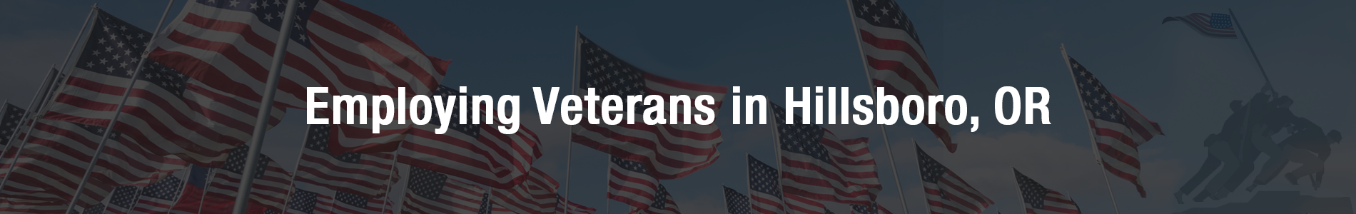 Employing Veterans - Internal Banner